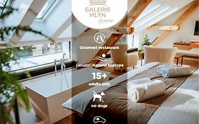 Galerie mlýn Žeraviny